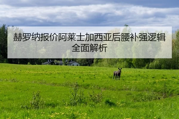 赫罗纳报价阿莱士加西亚后腰补强逻辑全面解析