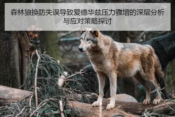 森林狼换防失误导致爱德华兹压力骤增的深层分析与应对策略探讨（Yabo）
