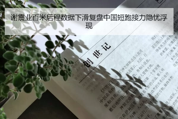 谢震业百米后程数据下滑复盘中国短跑接力隐忧浮现（Yabo）