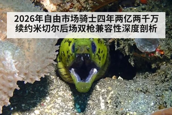 2026年自由市场骑士四年两亿两千万续约米切尔后场双枪兼容性深度剖析（Yabo）